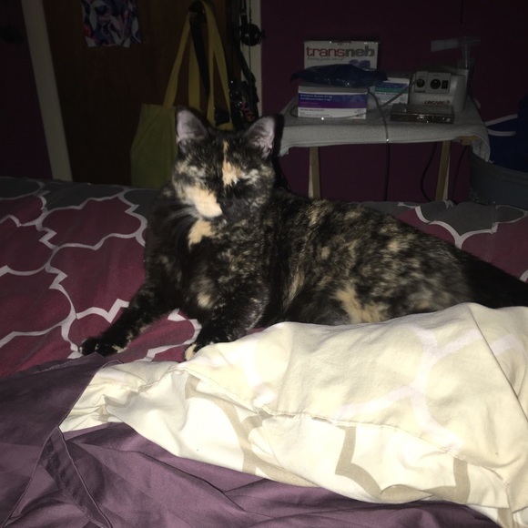 Meet your Posher, Susan - Picture 3 of 6